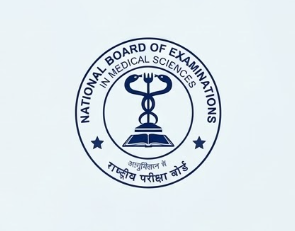 NBE Logo